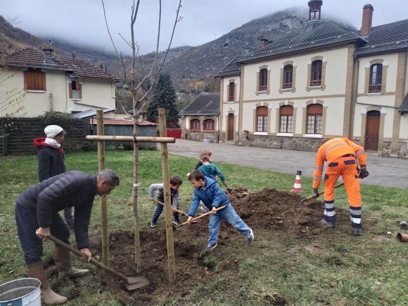 Apprentissage jardinage : plantation d'arbre à l'ALAE de Niaux